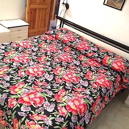 Villino 4 * Nuragheddu
